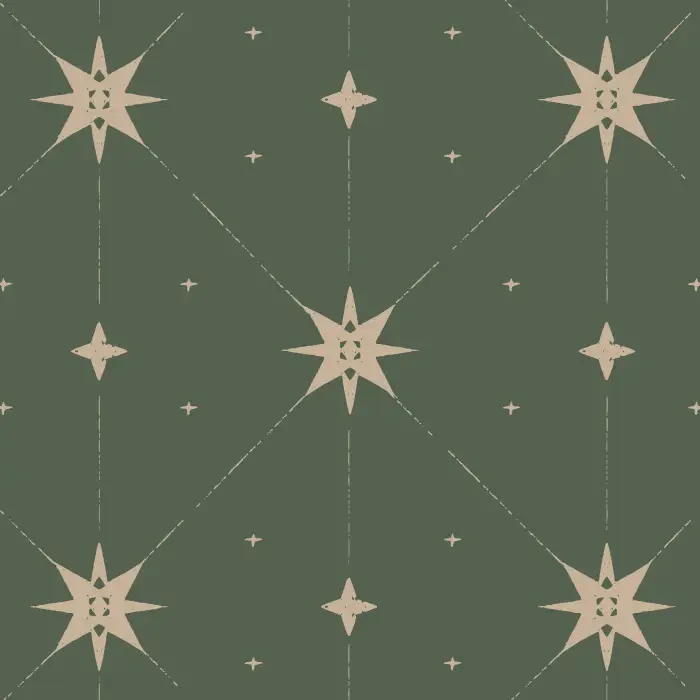 Transform your home with our Mystic Starlight Peel and Stick Wallpaper.